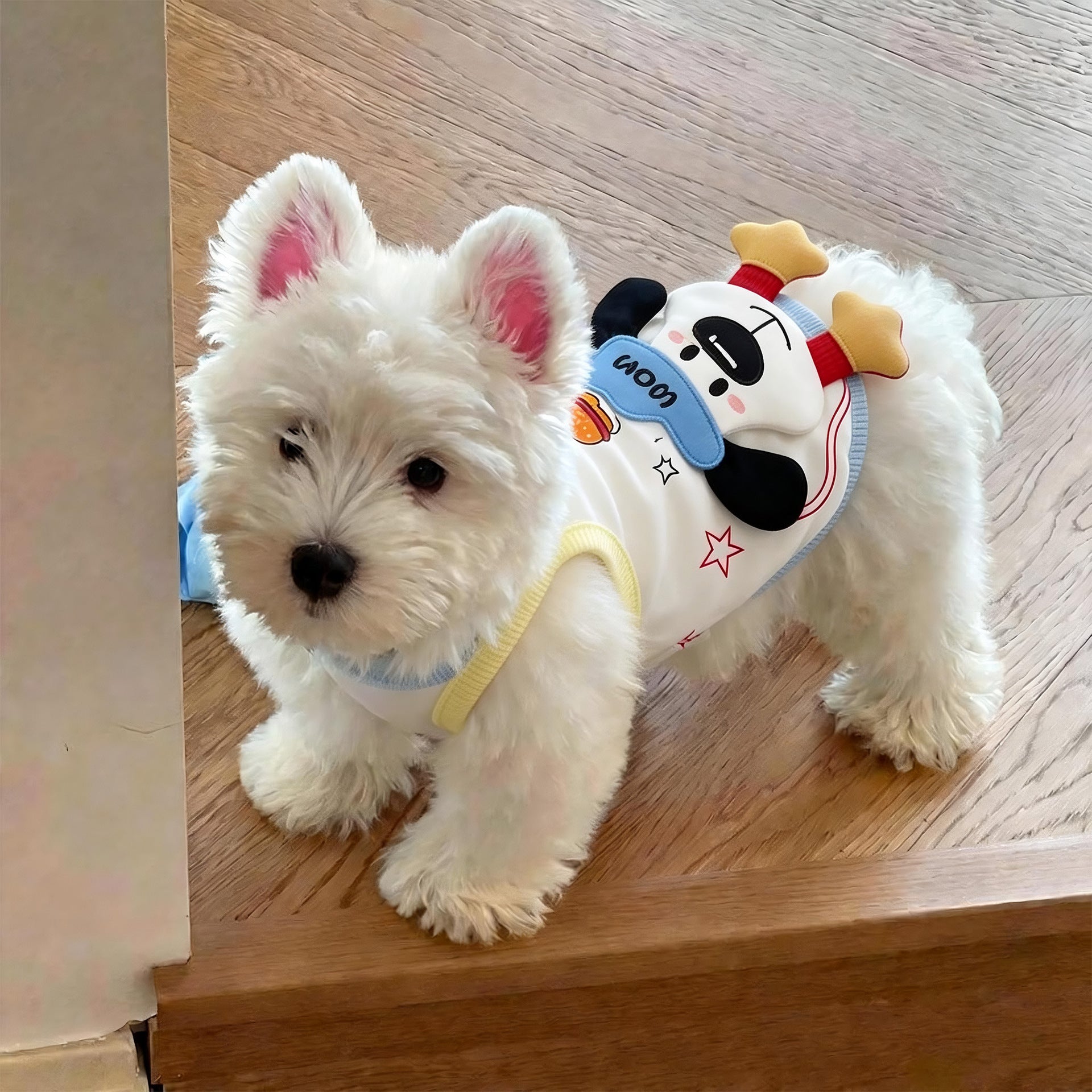 Cute Summer Vest for Small Dogs — Lightweight Breathable Pet Clothing