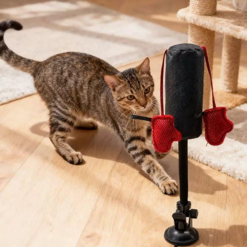 Cat Boxing Spring Toy
