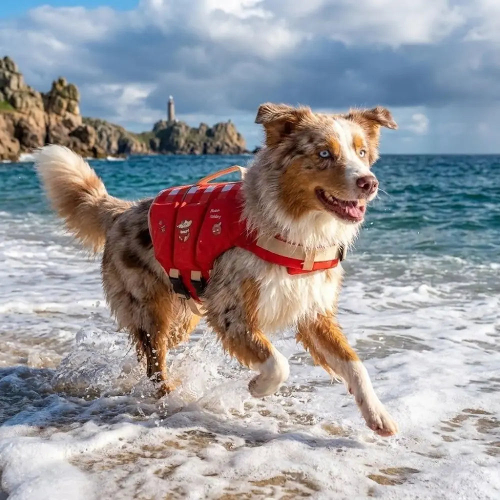 Waterproof Dog Life Jacket — Adjustable Safety Vest for Dogs