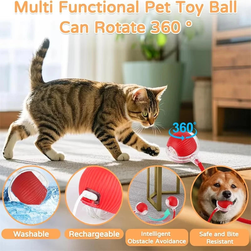 Cat Interactive Ball Toy – Automatic Rolling Smart Electric Toy for Cats