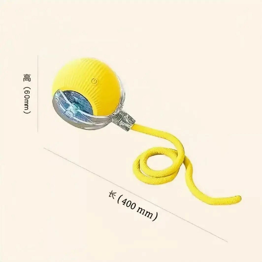 ETPU Electric Dog Toy Ball – Bite-Resistant, Self-Moving & Food-Grade