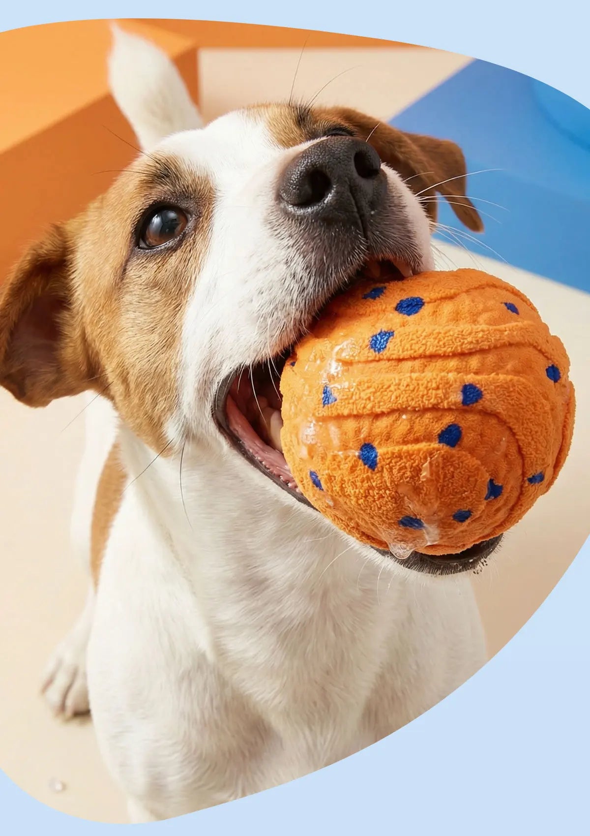 ETPU Electric Dog Toy Ball – Bite-Resistant, Self-Moving & Food-Grade