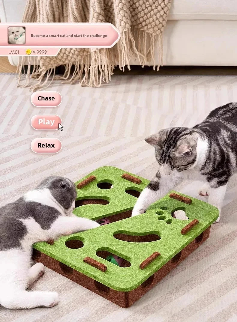 Cat Puzzle Toy – Felt Puzzle Box with Ball for Indoor Cats