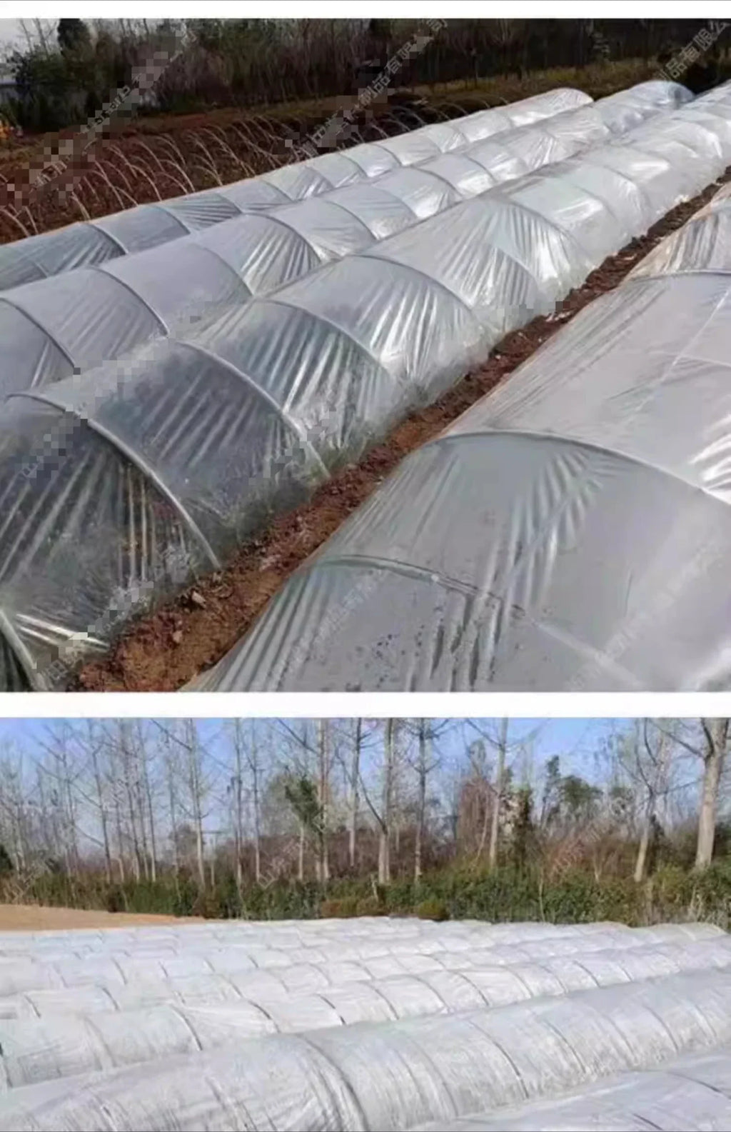 Vegetable Insulation Plastic Cloth Agricultural White Plastic Transparent Film  Small Arch Shed Grow Seedlings Cold Proof Films