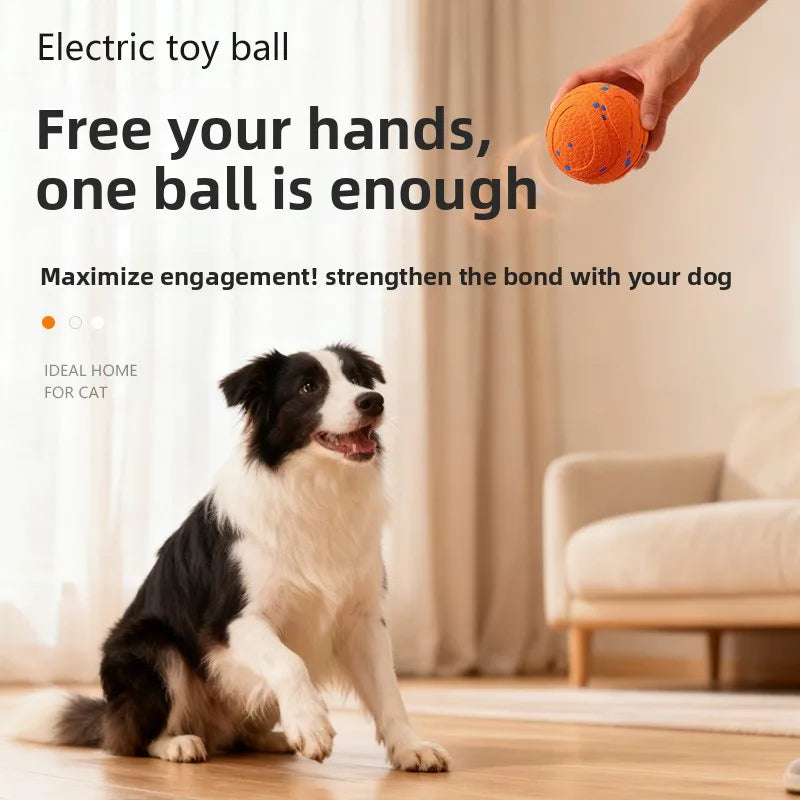 ETPU Electric Dog Toy Ball – Bite-Resistant, Self-Moving & Food-Grade