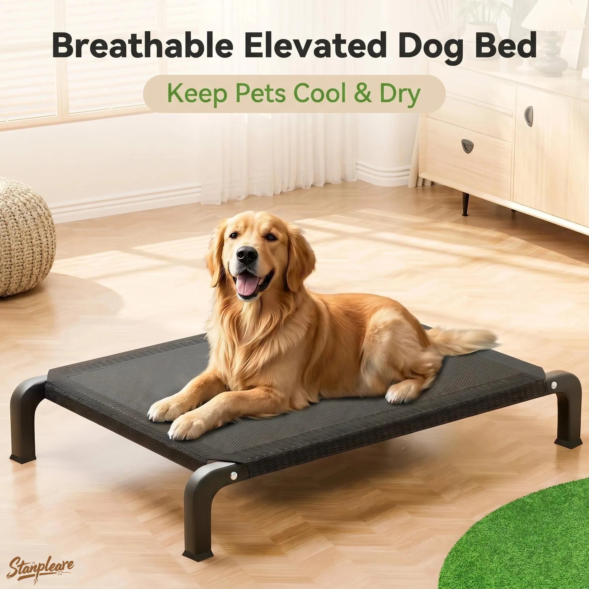 Elevated Dog Bed – Waterproof Mesh Raised Pet Cot with Steel Frame