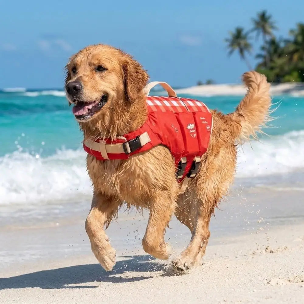 Waterproof Dog Life Jacket — Adjustable Safety Vest for Dogs