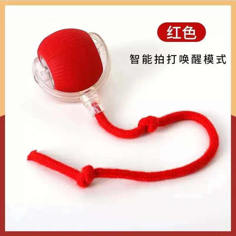 ETPU Electric Dog Toy Ball – Bite-Resistant, Self-Moving & Food-Grade