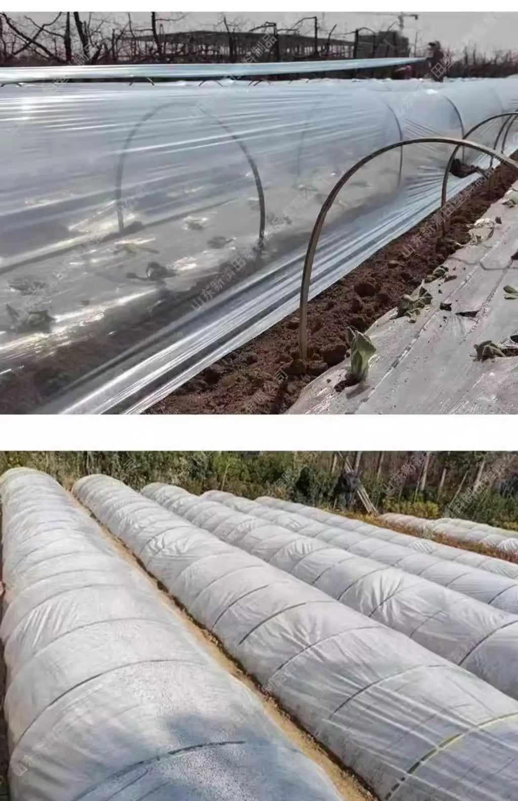 Vegetable Insulation Plastic Cloth Agricultural White Plastic Transparent Film  Small Arch Shed Grow Seedlings Cold Proof Films