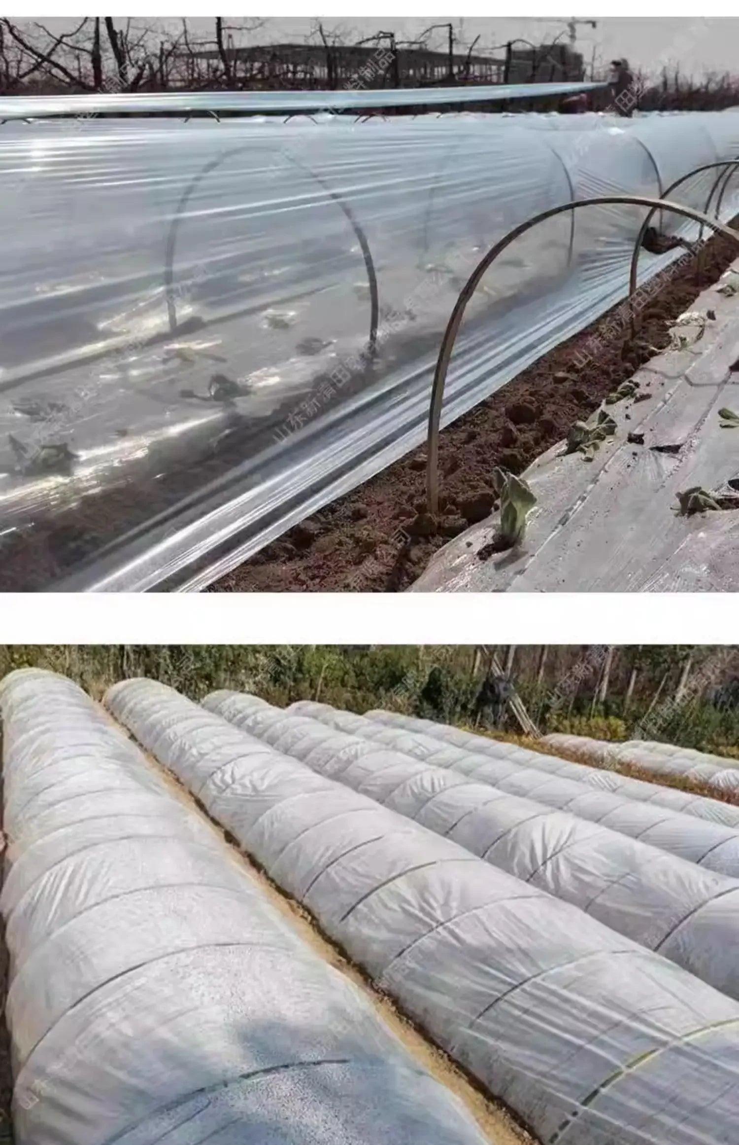 Vegetable Insulation Plastic Cloth Agricultural White Plastic Transparent Film  Small Arch Shed Grow Seedlings Cold Proof Films
