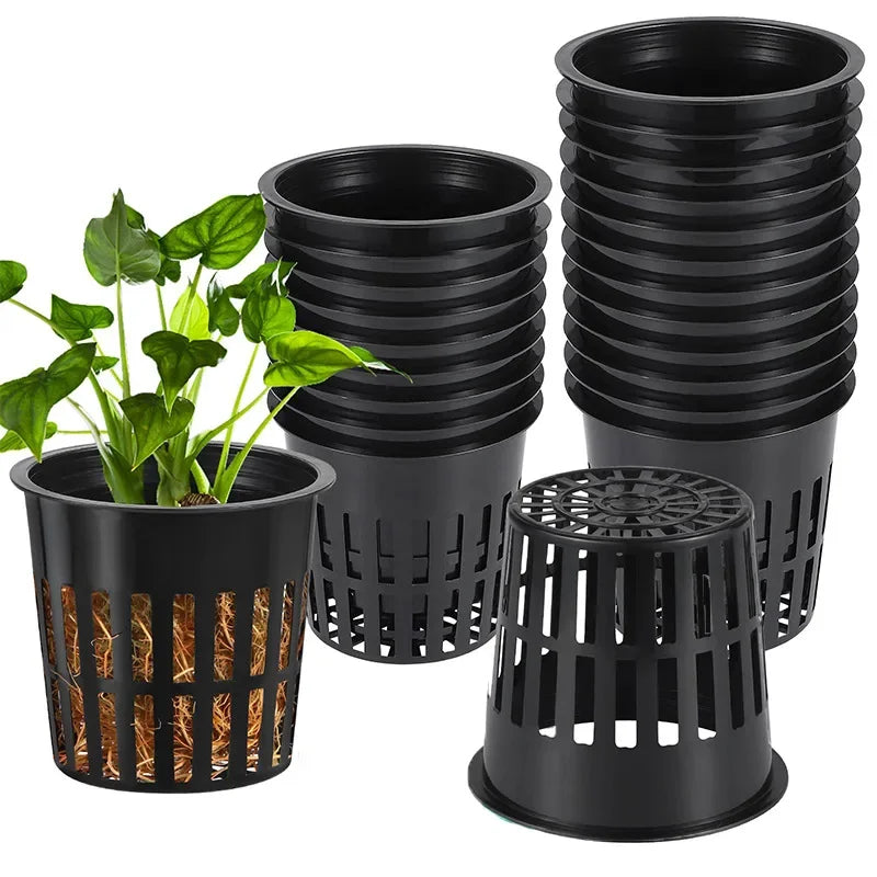 10PCS 3 Inch Hydroponics Cups Slotted Mesh Wide Lip Filter Plant Net Pot Bucket Basket Vegetable Garden Grown Netted Baskets