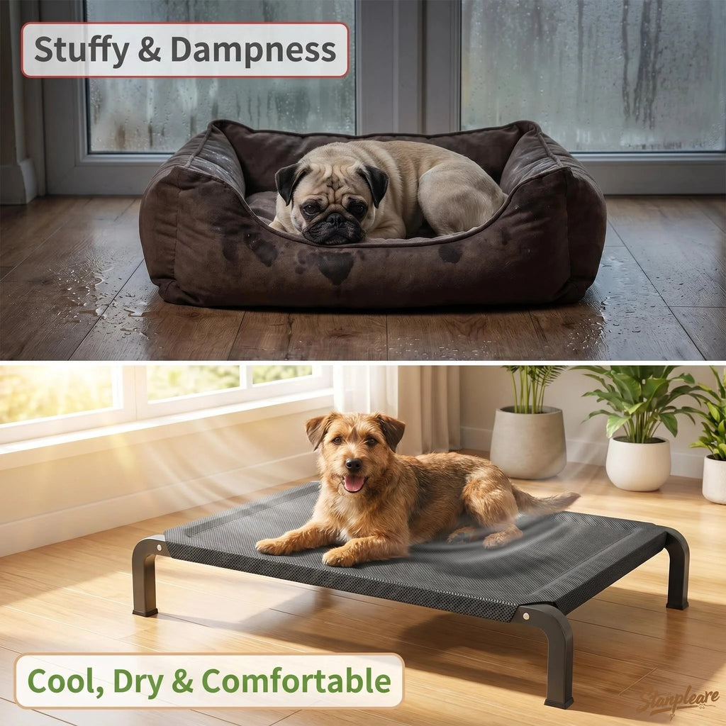 Elevated Dog Bed – Waterproof Mesh Raised Pet Cot with Steel Frame