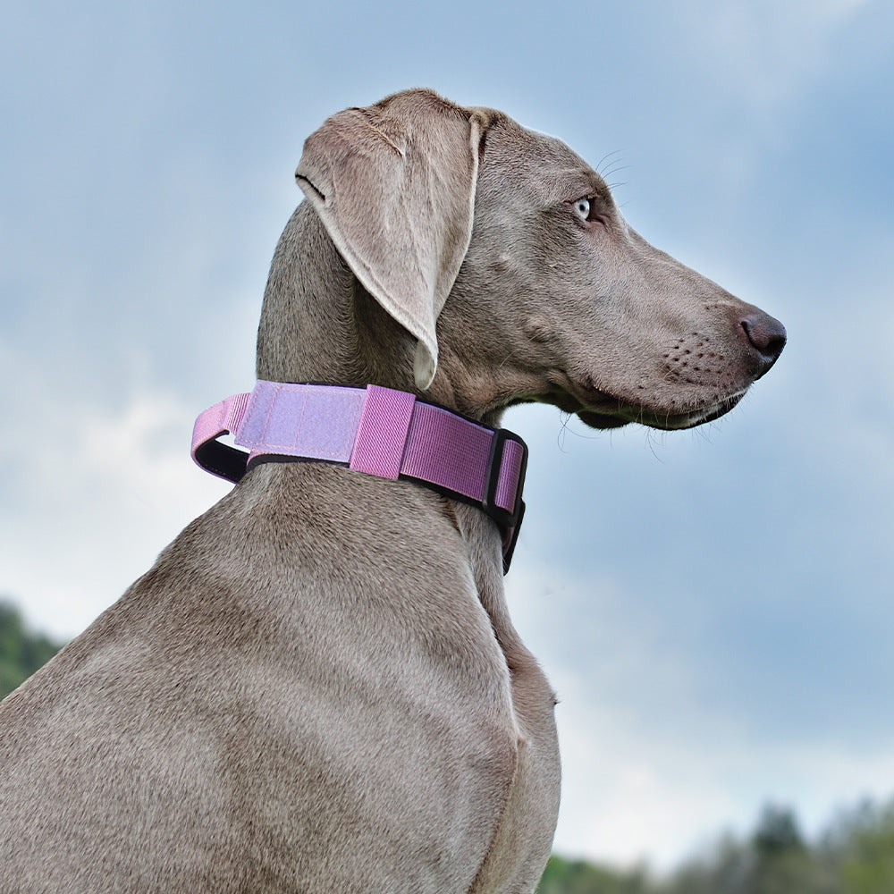 Tactical Dog Collar with Reflective Strips