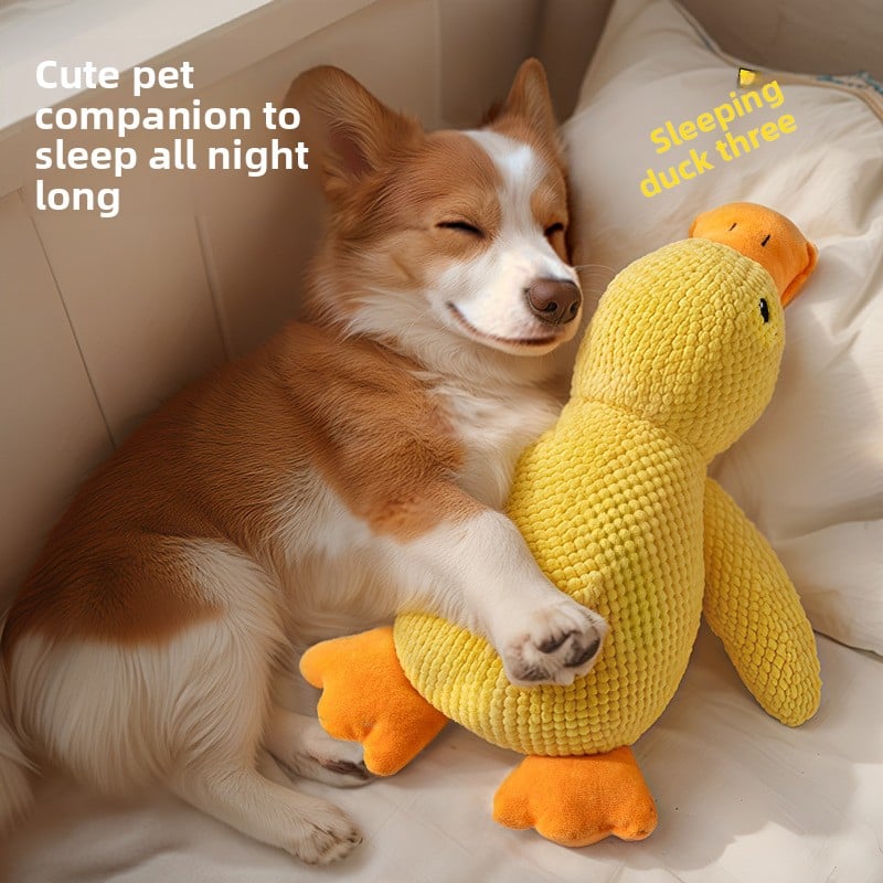 Interactive Plush Dog Toy | Squeaky & Chew-Resistant Pet Toy