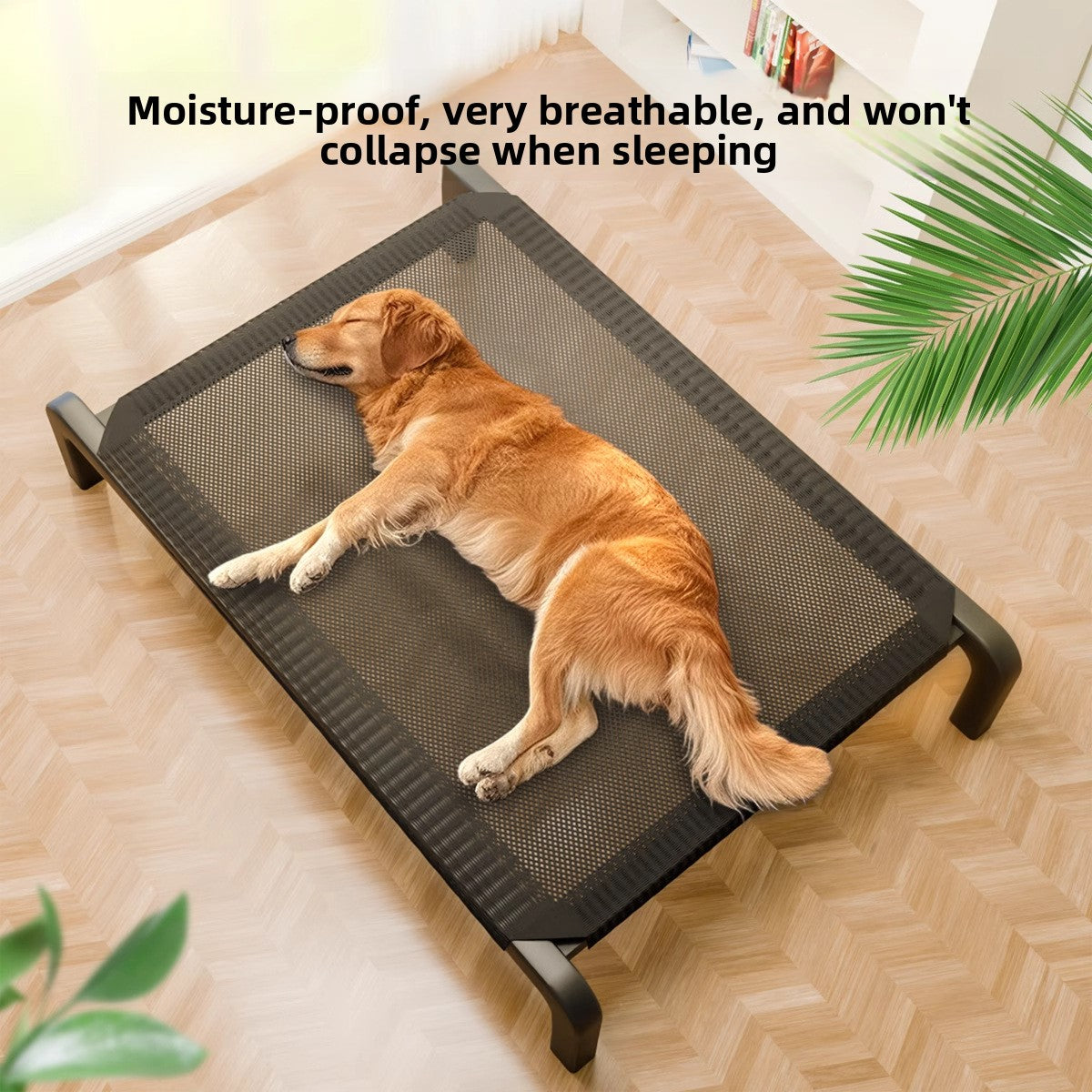 Elevated Dog Bed with Breathable Mesh