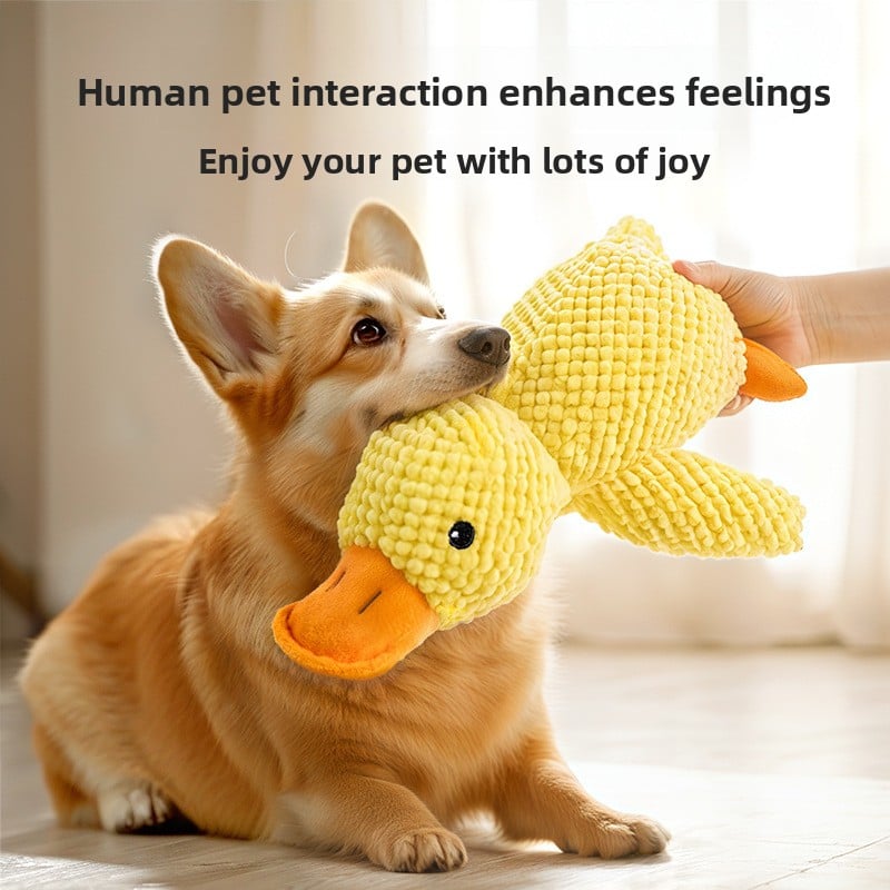 Interactive Plush Dog Toy | Squeaky & Chew-Resistant Pet Toy