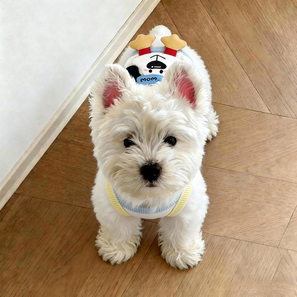 Cute Summer Vest for Small Dogs — Lightweight Breathable Pet Clothing
